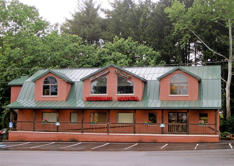 mountain shadow animal hospital